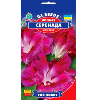 Насіння Іпомеї Серенада 5 шт