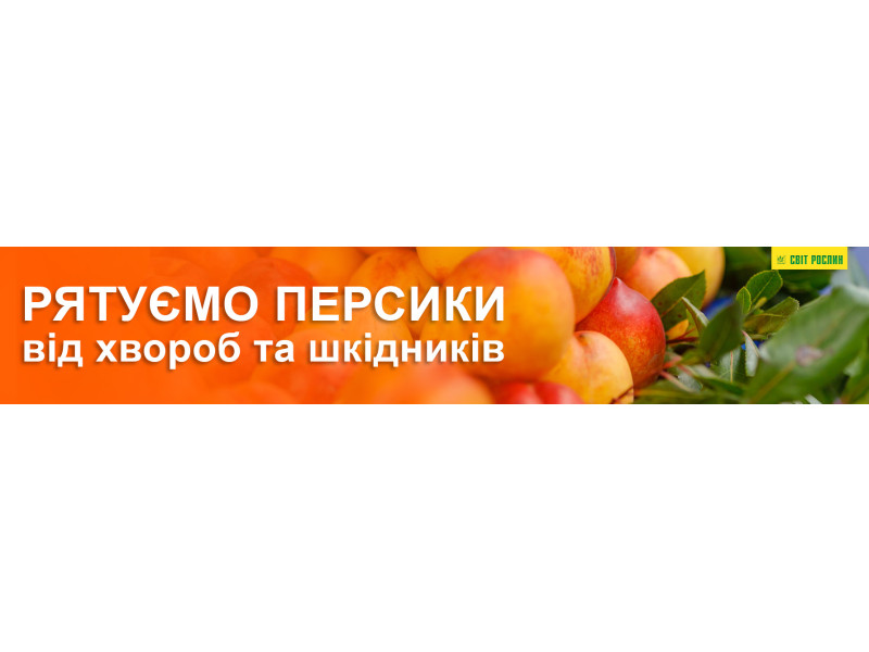 Рятуємо персики від хвороб та шкідників