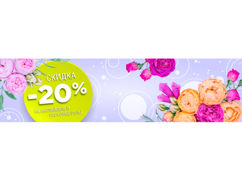 Акція! -20% знижки на англійські та паркові троянди!