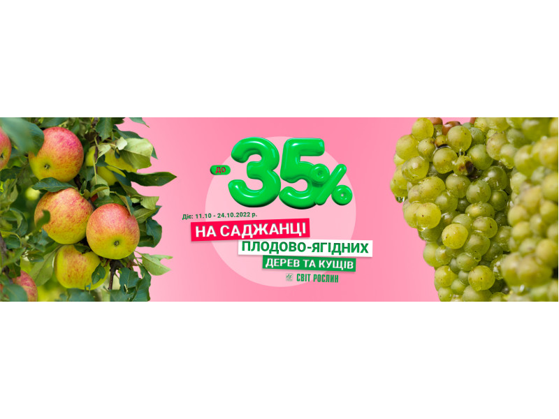 До – 35% на вибрані плодові саджанці! Встигніть замовити за акційною ціною