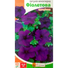 Насіння Петунія Фіолетова мініатюрна Яскрава 0,1 г