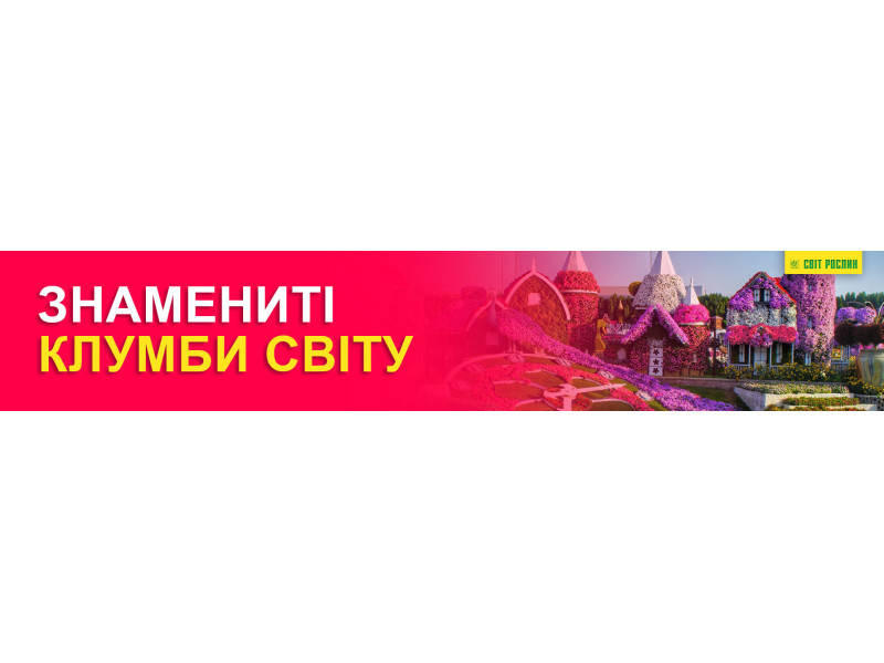 Знаменитые клумбы мира