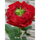 Роза на штамбе Ред Ай (Red Eye) высота 1-1.2 м