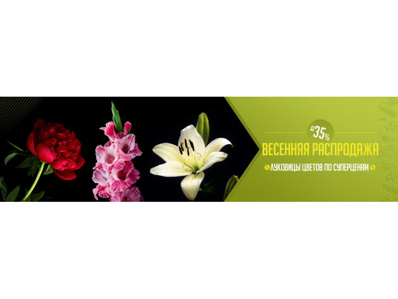 Весняний сезон минає - шикарні знижки залишає 