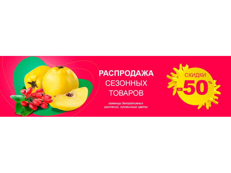 Розпродаж сезонних товарів до -50%!