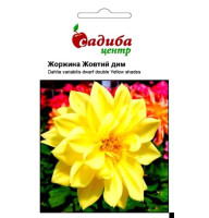 Насіння Жоржина Жовтий Дим, 0,1г