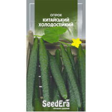 Огурец Китайский холодоустойчивый 10 шт