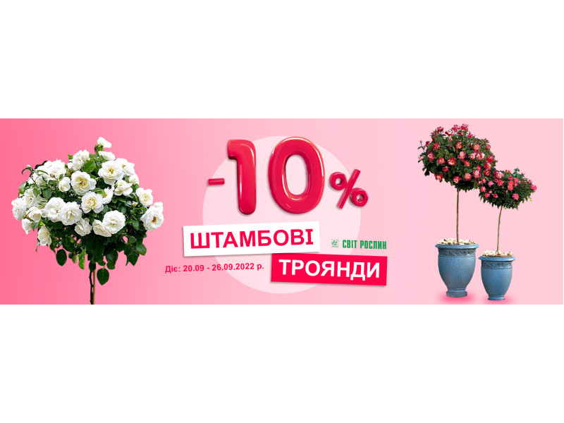 -10% на штамбові троянди