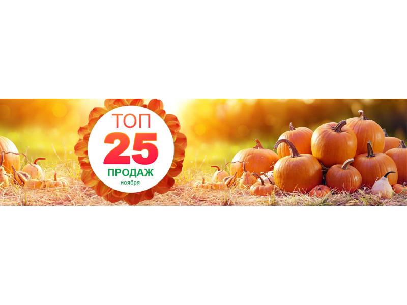 ТОП-25 продажів листопада
