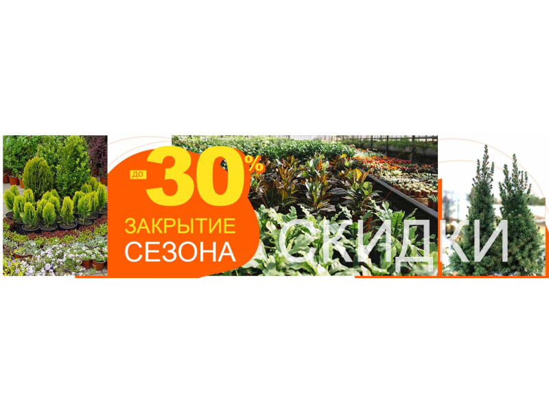 Закриття сезону в садових центрах «Світ рослин»