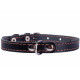 Ошейник CoLLar одинарный с элементами 00281