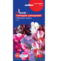 Насіння Духмяний горошок Спенсер Капрі суміш GL Seeds 1 г