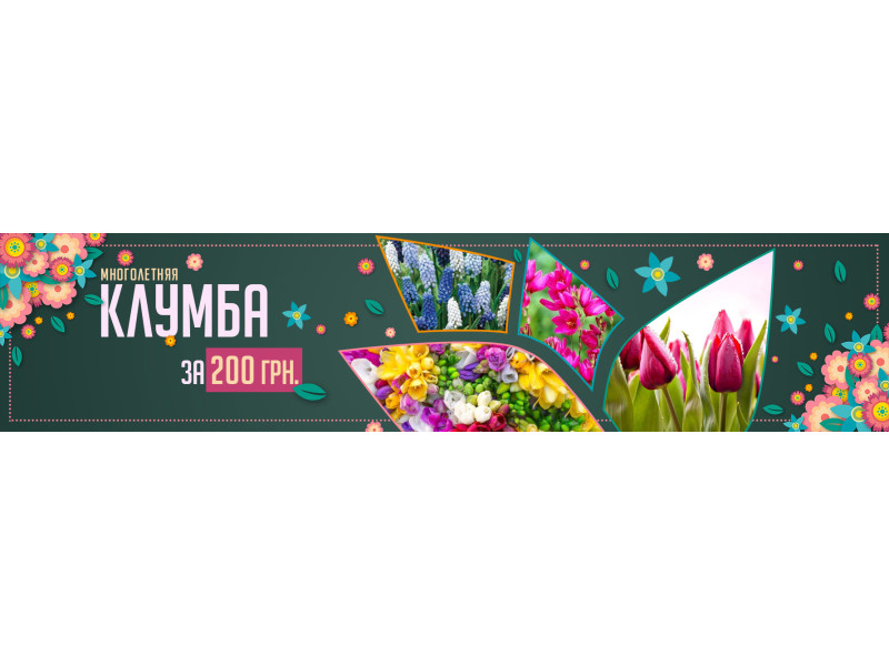 Багаторічна клумба за 200 грн!