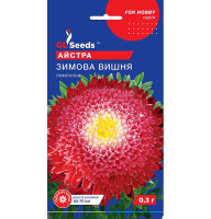 Насіння Айстра Зимова вишня  GL Seeds 0,3 г