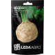 Семена Сельдерей корневой Бриллиант 0,02 г LedaAgro