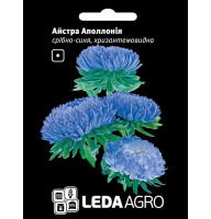 Насіння Айстра Аполлонія срібно-синя 0,2 гр LedaAgro
