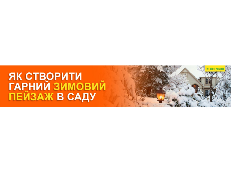 Як створити гарний зимовий пейзаж в саду