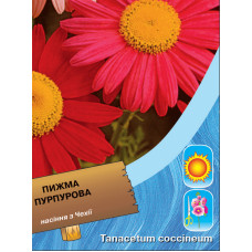 Насіння Пижма пурпурова