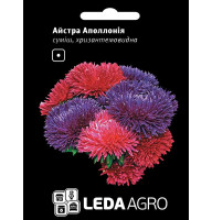 Насіння Айстра Аполлонія суміш 0,2 гр LedaAgro