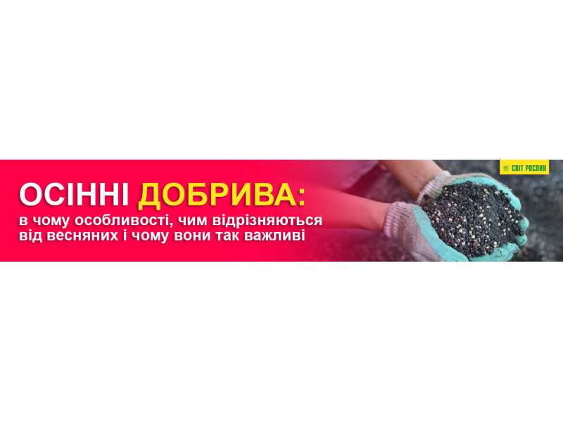 Осенние удобрения: в чем особенности, чем отличаются от весенних и почему они так важны