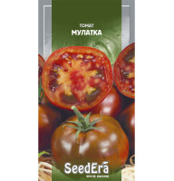 Насіння Томат Мулатка 0,1 г Seedera