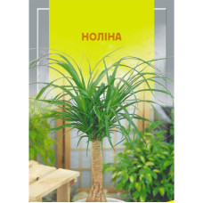 Семена Нолина 5 сем