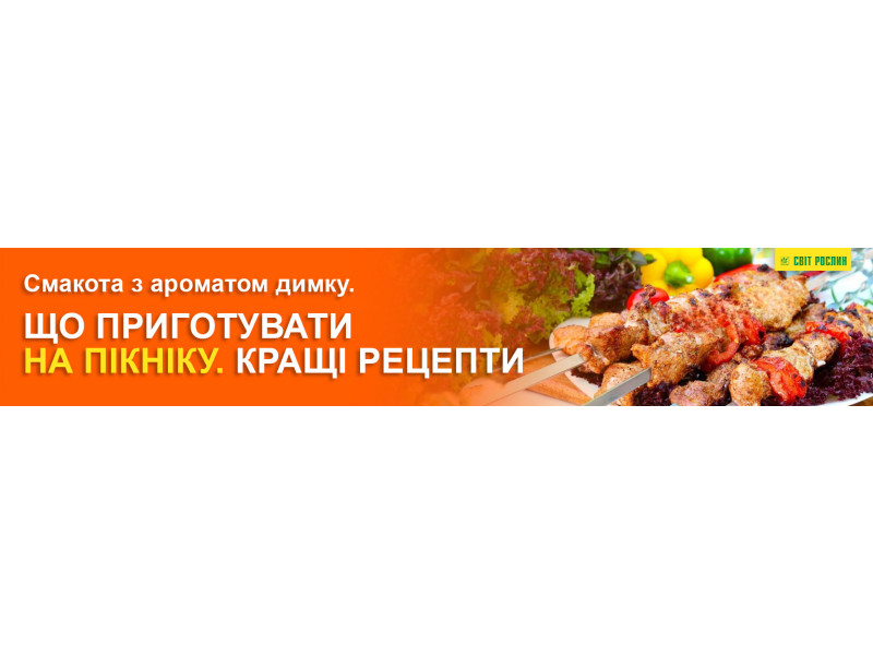 Вкуснятина с ароматом дымка. Что приготовить на пикнике. Лучшие рецепты