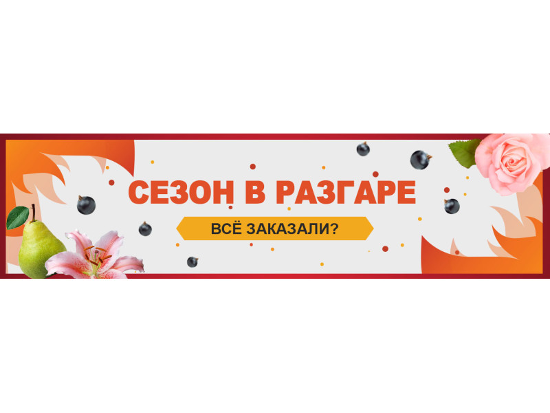 Сезон горить - ви все встигли купить?