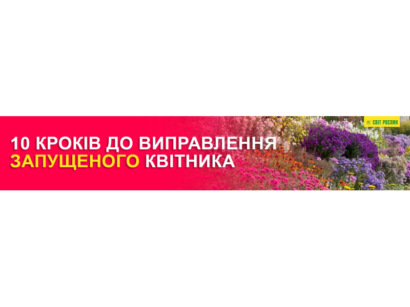 10 кроків до виправлення запущеного квітника