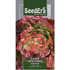 Насіння Салат Айсруж (качанний) 1 г Seedera