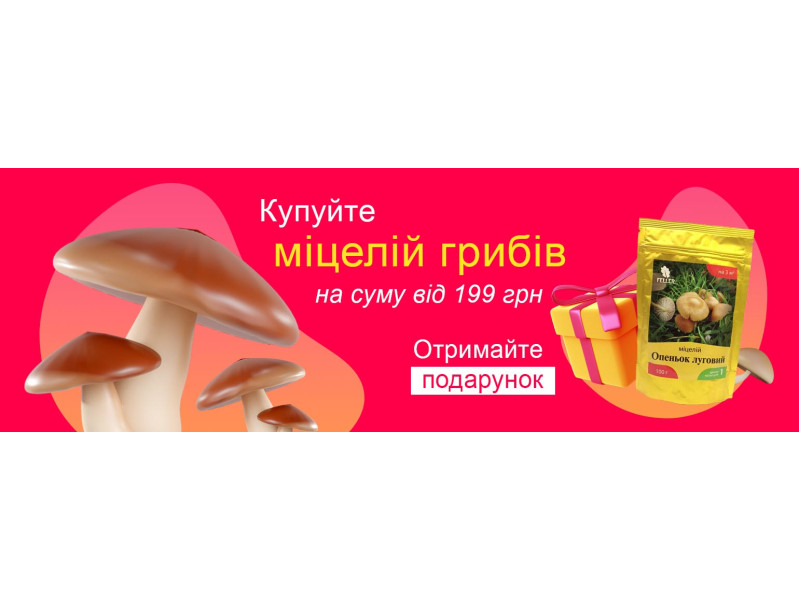 Міцелій опеньок луговий у подарунок