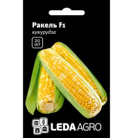 Насіння Кукурудза Ракель F1 20 насінин LedaAgro