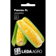 Семена Кукуруза Ракель F1 20 семян LedaAgro