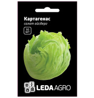 Насіння Салат Айсберг Картагенас 10 насінин LedaAgro