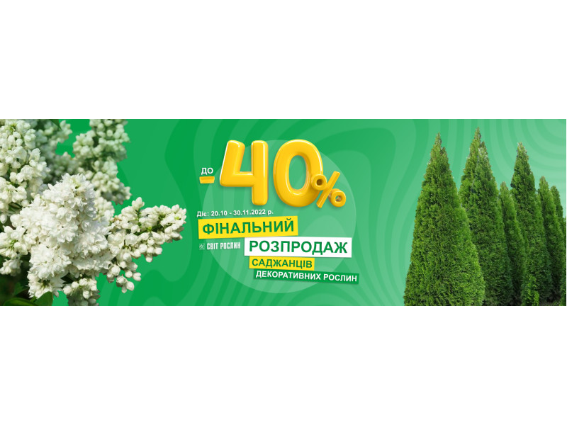 До -40%! Фінальний розпродаж декоративних саджанців! 