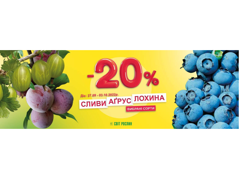 -20% на сливи, лохину та аґрус