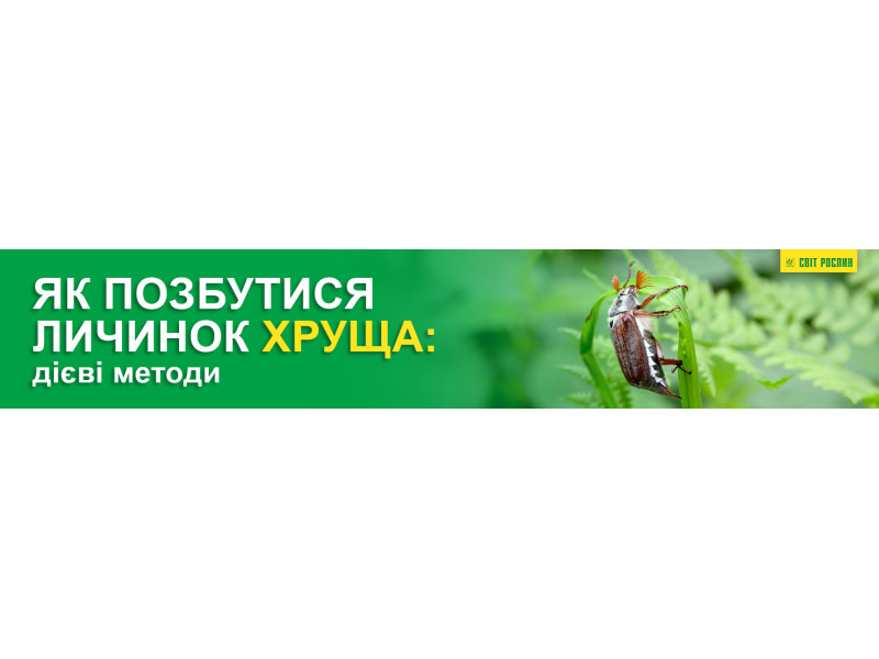 Як позбутися личинок хруща: дієві методи