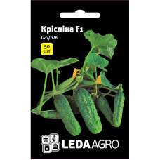 Семена Огурец Криспина F1 50 сем Leda Agro