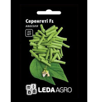 Насіння Квасоли Серенгети 20 сем Leda Agro 