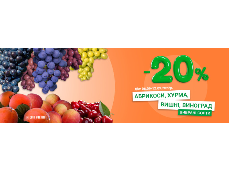 -20% на саджанці абрикосу, хурми, вишні та винограду