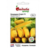 Насіння Кукурудза Спіріт F1 СЦ 100 нас