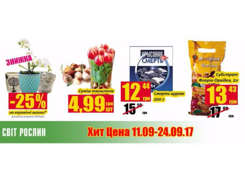Хит цена 11.09-24.09.17
