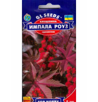Насіння Клещевина Імпала Роуз GL Seeds 5 шт