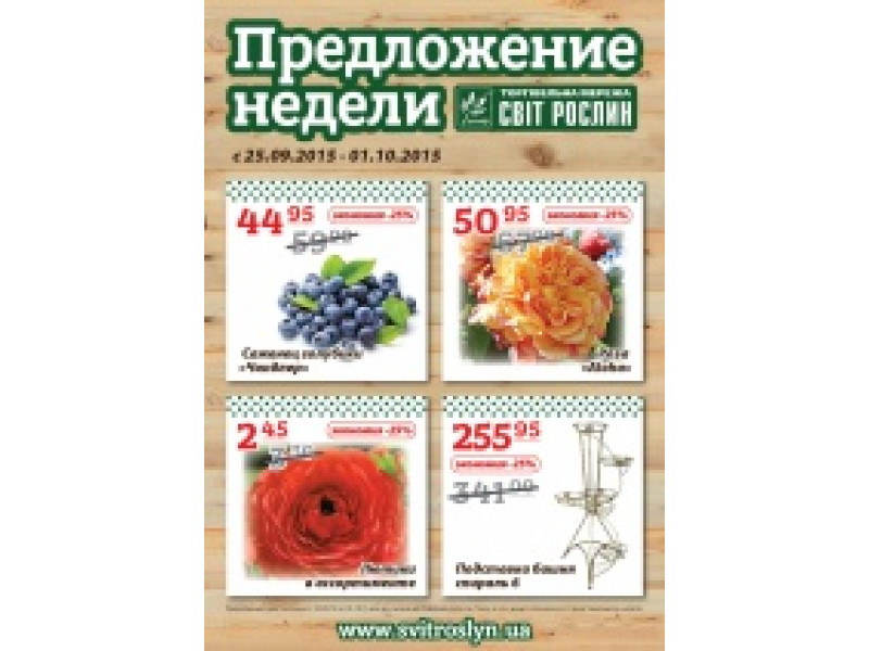 Предложение недели 25.09-01.10