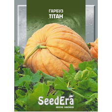 Насіння Гарбуз Тітан 2 г Seedera
