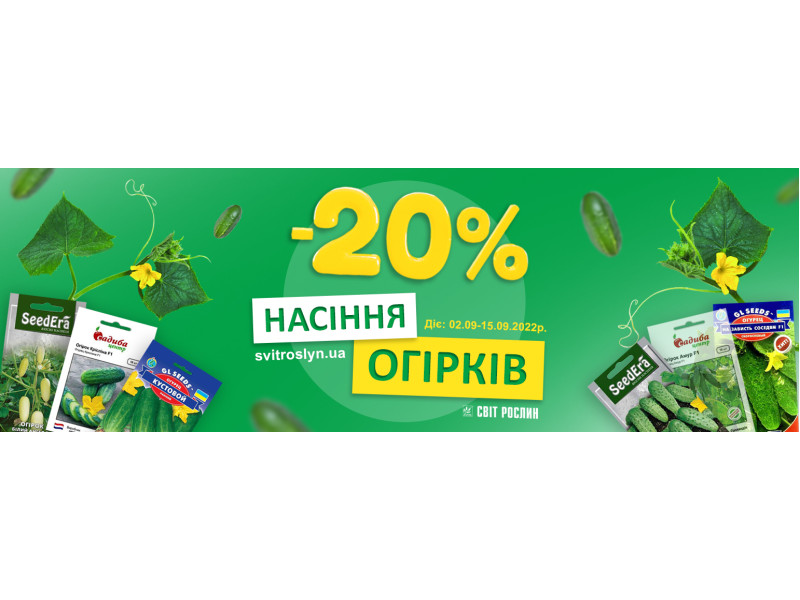 Знижка -20% на насіння огірків
