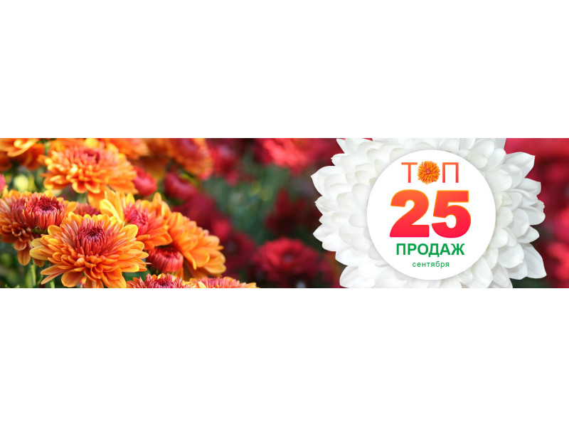 ТОП-25 продажів вересня