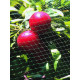 Сетка для защиты от птиц ORTOFLEX рулон 250*4 м