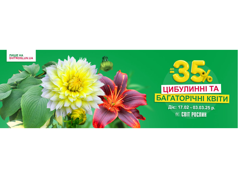 Знижки до -35% на цибулинні та багаторічні квіти