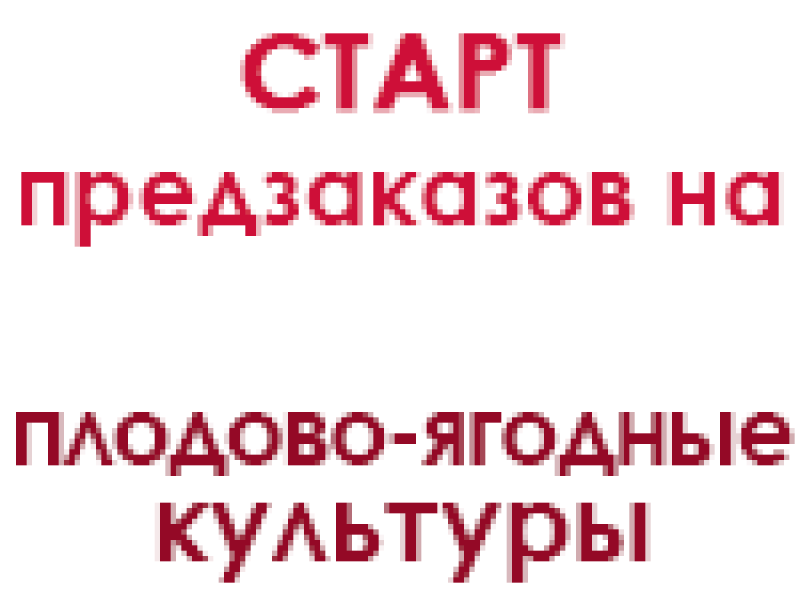 Ви чекали початку попередніх замовлень на саджанці плодово-ягідних культур?